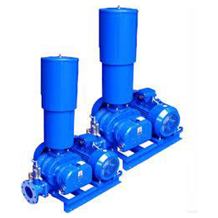 Rotary Lobe Pumps